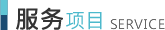 服务项目